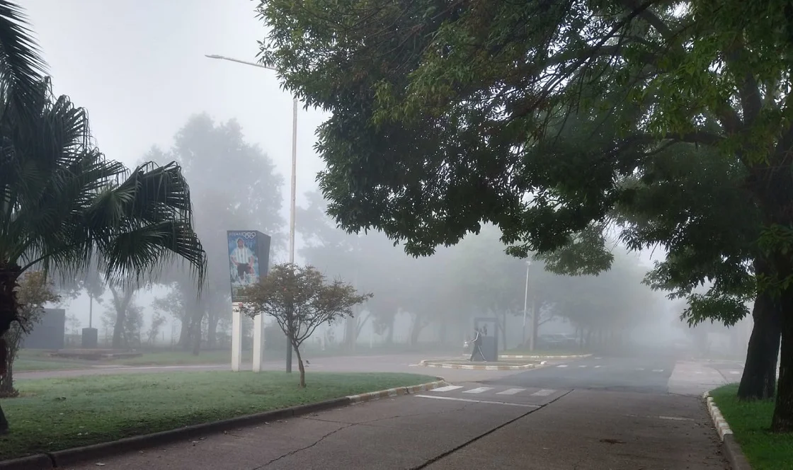 crespo niebla